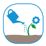 measure a level scoop